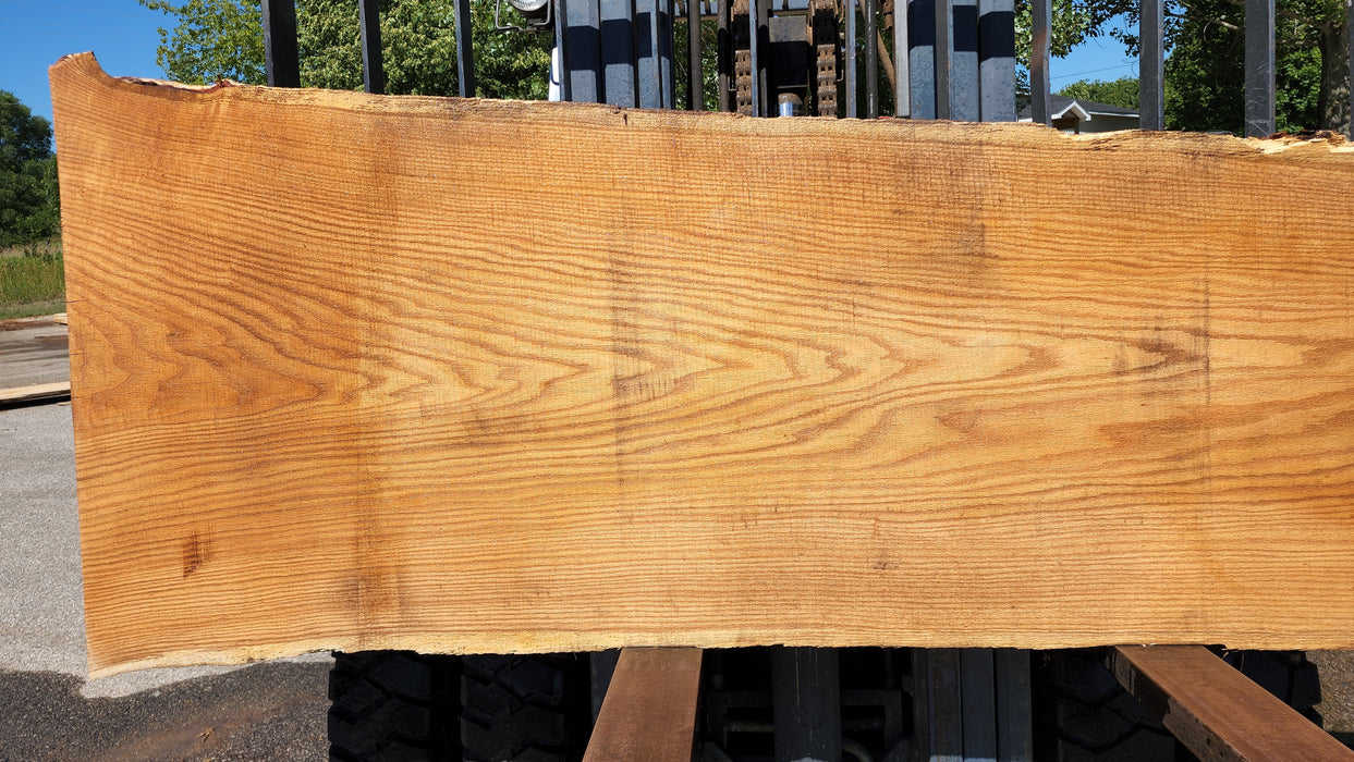 Red Oak #8081(OC) - 2-3/4" x 8" to 35" x 120" FREE SHIPPING within the Contiguous US.