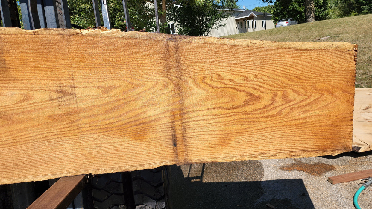 Red Oak #8081(OC) - 2-3/4" x 8" to 35" x 120" FREE SHIPPING within the Contiguous US.