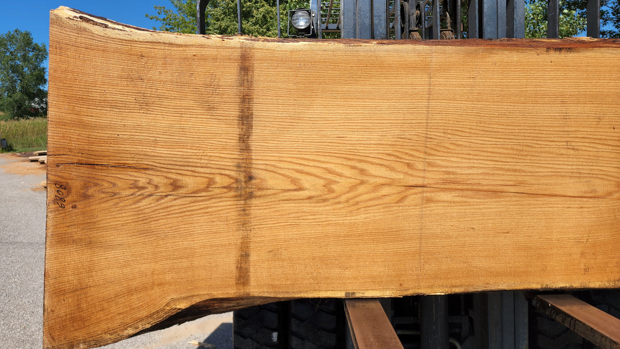 Red Oak #8089(OC) - 3" x 31" to 48" x 124" FREE SHIPPING within the Contiguous US.