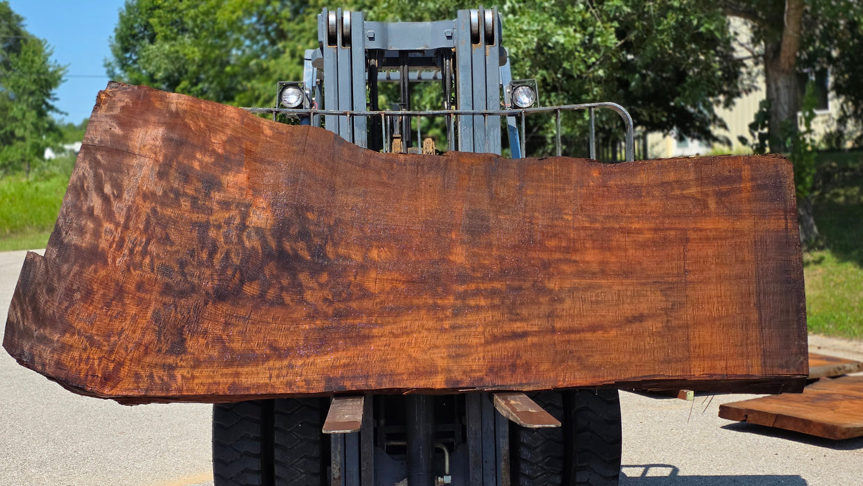 Redwood  #8091(OC) - 3-3/8" x 36" to 49" x 114" FREE SHIPPING within the Contiguous US.
