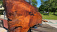 Redwood  #8092(OC) - 3-5/8" x 26" to 46" to 62" x 115" FREE SHIPPING within the Contiguous US.