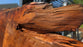 Redwood  #8093(OC) - 3-1/2" x 36" to 51" to 62" x 115" FREE SHIPPING within the Contiguous US.