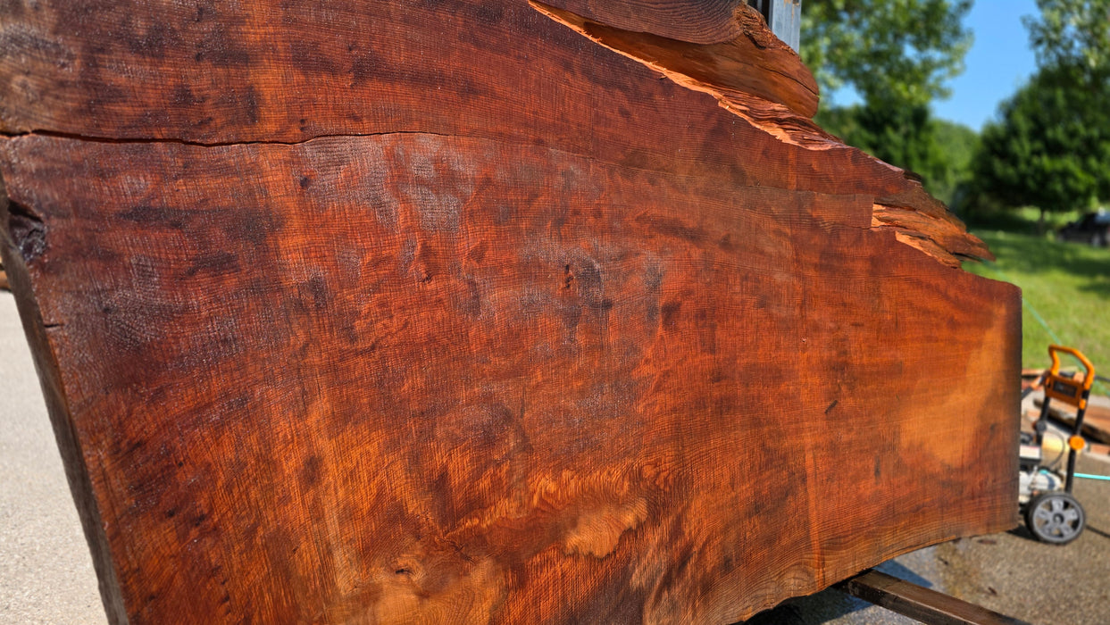Redwood  #8094(OC) - 3-3/8" x 39" to 64" x 113" FREE SHIPPING within the Contiguous US.