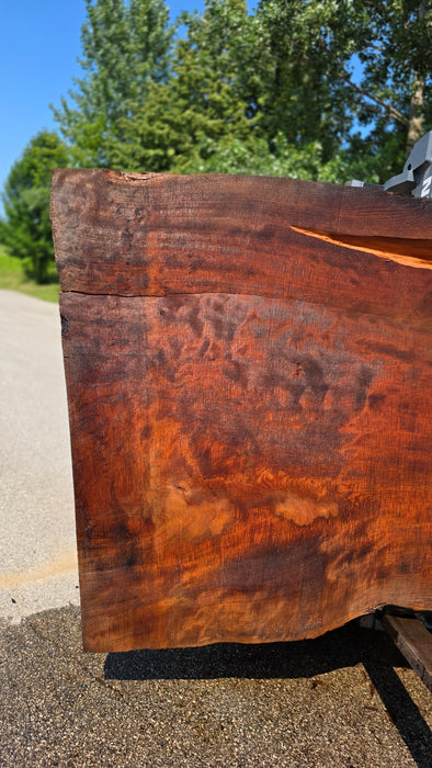 Redwood  #8094(OC) - 3-3/8" x 39" to 64" x 113" FREE SHIPPING within the Contiguous US.