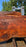 Redwood  #8094(OC) - 3-3/8" x 39" to 64" x 113" FREE SHIPPING within the Contiguous US.