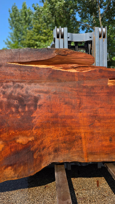Redwood  #8094(OC) - 3-3/8" x 39" to 64" x 113" FREE SHIPPING within the Contiguous US.