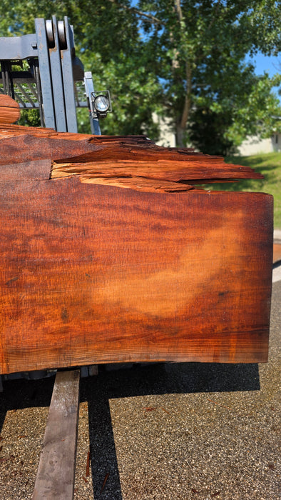 Redwood  #8094(OC) - 3-3/8" x 39" to 64" x 113" FREE SHIPPING within the Contiguous US.
