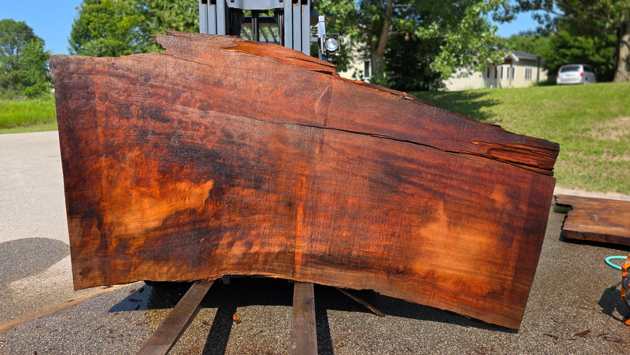Redwood  #8095(OC) - 3-1/4" x 38" to 62" x 113" FREE SHIPPING within the Contiguous US.
