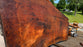 Redwood  #8095(OC) - 3-1/4" x 38" to 62" x 113" FREE SHIPPING within the Contiguous US.