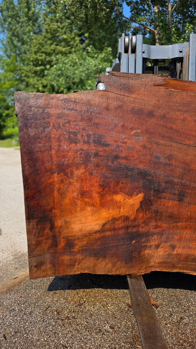 Redwood  #8095(OC) - 3-1/4" x 38" to 62" x 113" FREE SHIPPING within the Contiguous US.