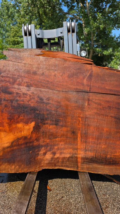 Redwood  #8095(OC) - 3-1/4" x 38" to 62" x 113" FREE SHIPPING within the Contiguous US.