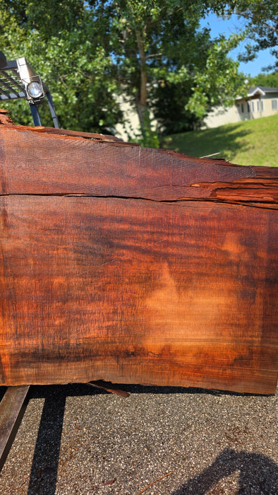 Redwood  #8095(OC) - 3-1/4" x 38" to 62" x 113" FREE SHIPPING within the Contiguous US.