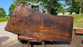 Redwood  #8095(OC) - 3-1/4" x 38" to 62" x 113" FREE SHIPPING within the Contiguous US.