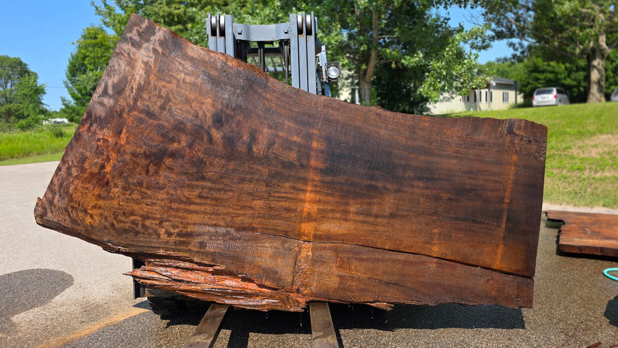Redwood  #8095(OC) - 3-1/4" x 38" to 62" x 113" FREE SHIPPING within the Contiguous US.