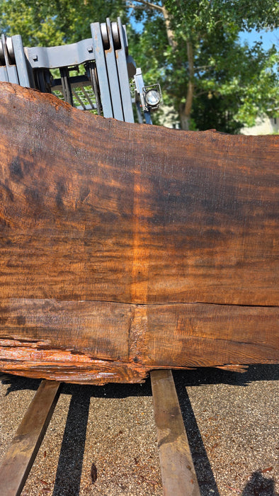 Redwood  #8095(OC) - 3-1/4" x 38" to 62" x 113" FREE SHIPPING within the Contiguous US.