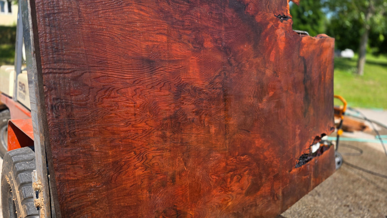 Redwood  #8096(OC) - 3-1/4" x 47" to 56" x 79" FREE SHIPPING within the Contiguous US.