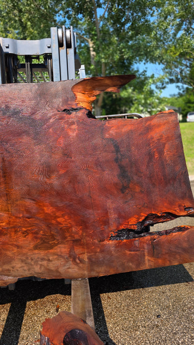 Redwood  #8096(OC) - 3-1/4" x 47" to 56" x 79" FREE SHIPPING within the Contiguous US.
