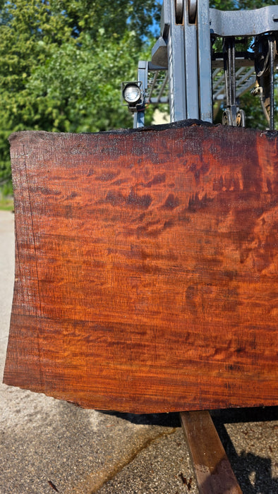 Redwood  #8099(OC) - 3-3/8" x 40" to 46" x 91" FREE SHIPPING within the Contiguous US.
