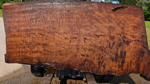 Redwood  #8200(OC) - 3" x 37" to 48" x 90" FREE SHIPPING within the Contiguous US.