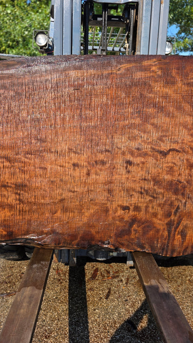 Redwood  #8200(OC) - 3" x 37" to 48" x 90" FREE SHIPPING within the Contiguous US.