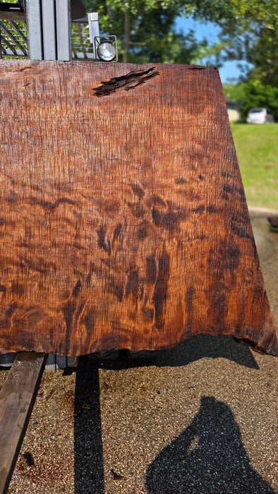 Redwood  #8200(OC) - 3" x 37" to 48" x 90" FREE SHIPPING within the Contiguous US.
