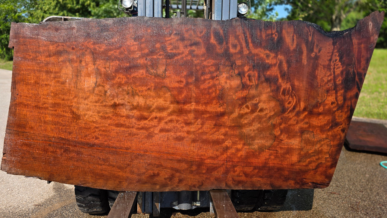 Redwood  #8200(OC) - 3" x 37" to 48" x 90" FREE SHIPPING within the Contiguous US.