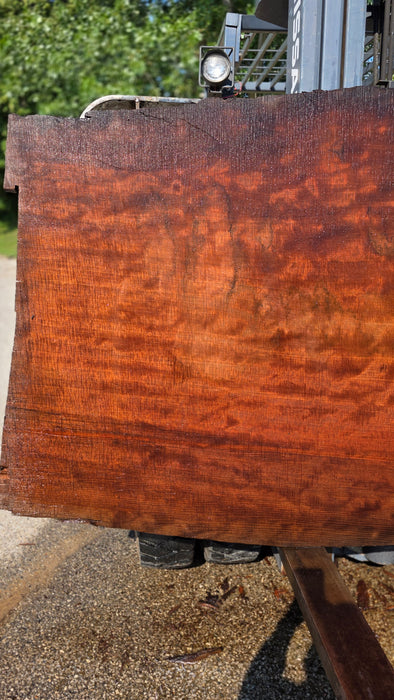 Redwood  #8200(OC) - 3" x 37" to 48" x 90" FREE SHIPPING within the Contiguous US.