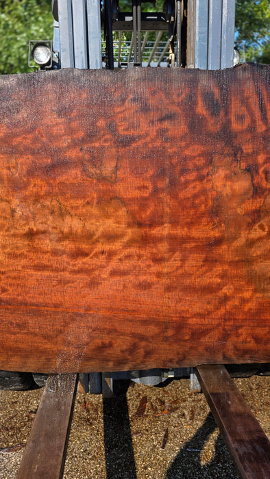 Redwood  #8200(OC) - 3" x 37" to 48" x 90" FREE SHIPPING within the Contiguous US.