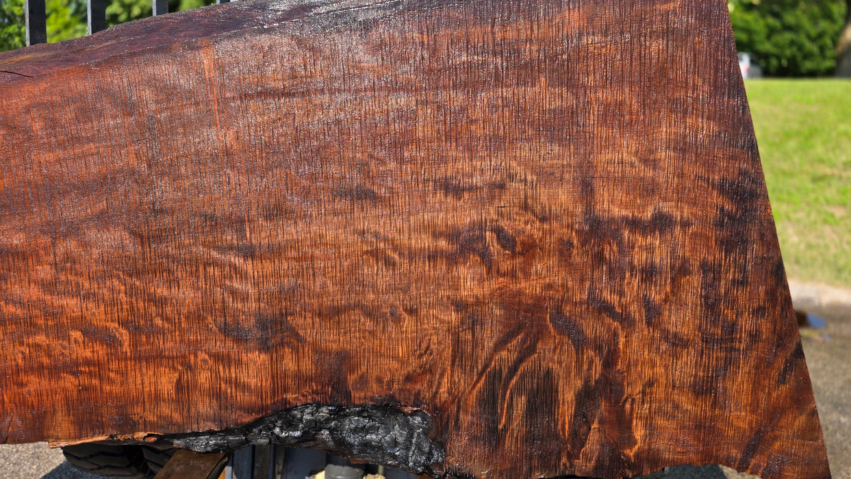 Redwood  #8201(OC) - 3-1/4" x 33" to 46" x 90" FREE SHIPPING within the Contiguous US.