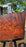 Redwood  #8201(OC) - 3-1/4" x 33" to 46" x 90" FREE SHIPPING within the Contiguous US.