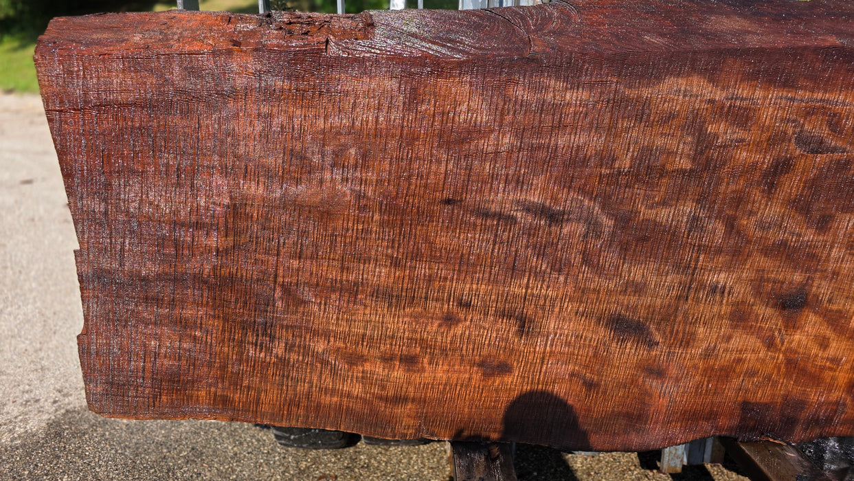 Redwood  #8202(OC) - 3-1/4" x 31" to 43" x 90" FREE SHIPPING within the Contiguous US.