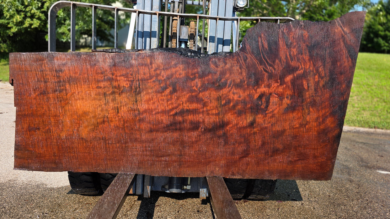 Redwood  #8202(OC) - 3-1/4" x 31" to 43" x 90" FREE SHIPPING within the Contiguous US.