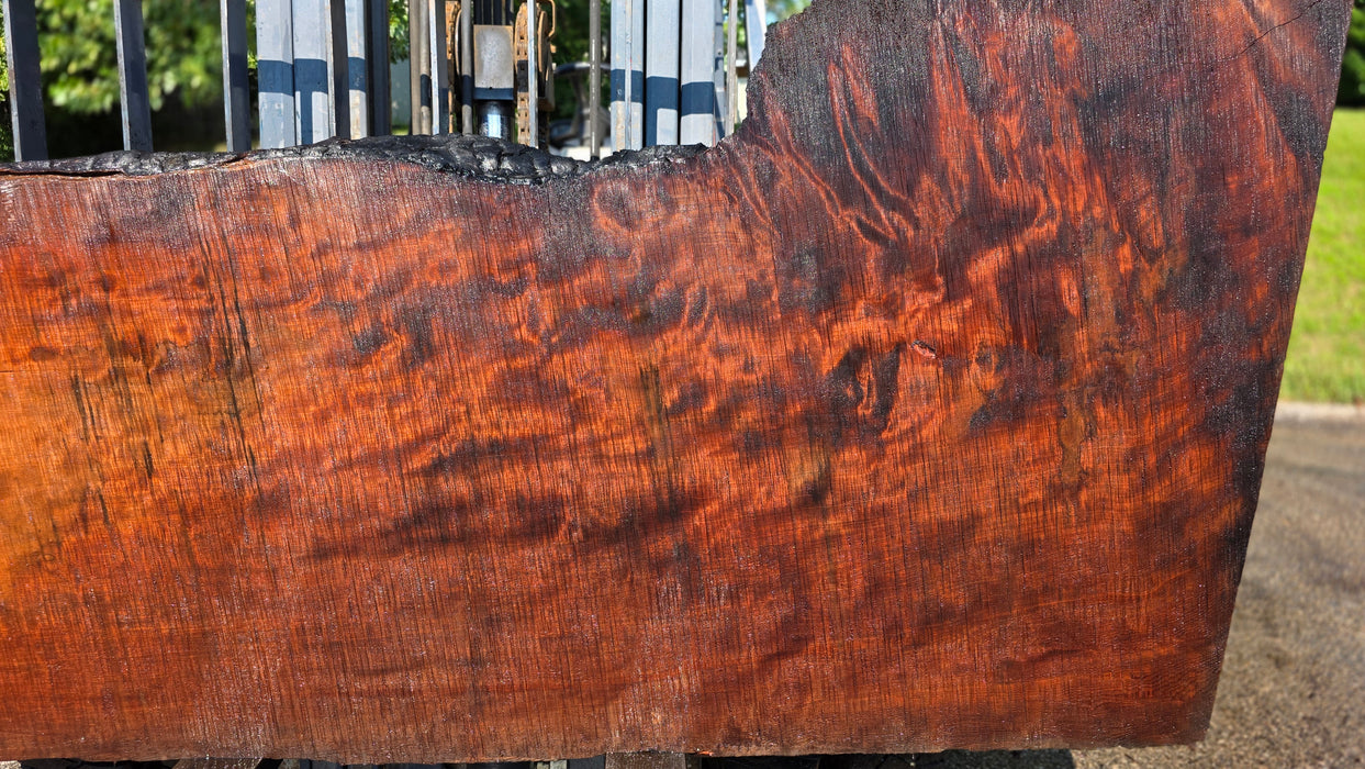 Redwood  #8202(OC) - 3-1/4" x 31" to 43" x 90" FREE SHIPPING within the Contiguous US.