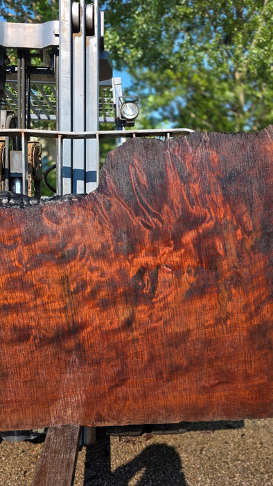 Redwood  #8202(OC) - 3-1/4" x 31" to 43" x 90" FREE SHIPPING within the Contiguous US.