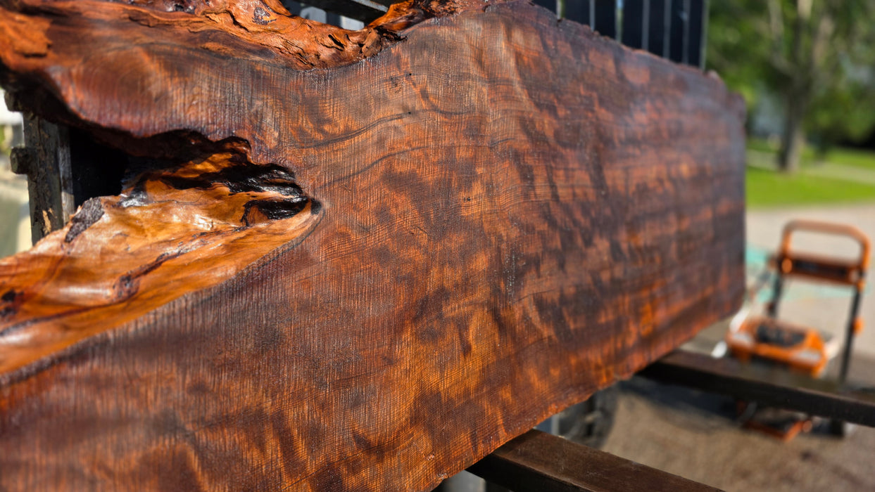 Redwood  #8204(OC) - 3" x 10" to 27" x 82" FREE SHIPPING within the Contiguous US.