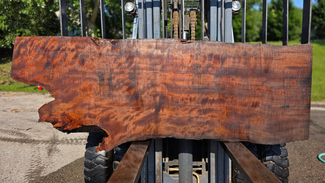 Redwood  #8204(OC) - 3" x 10" to 27" x 82" FREE SHIPPING within the Contiguous US.