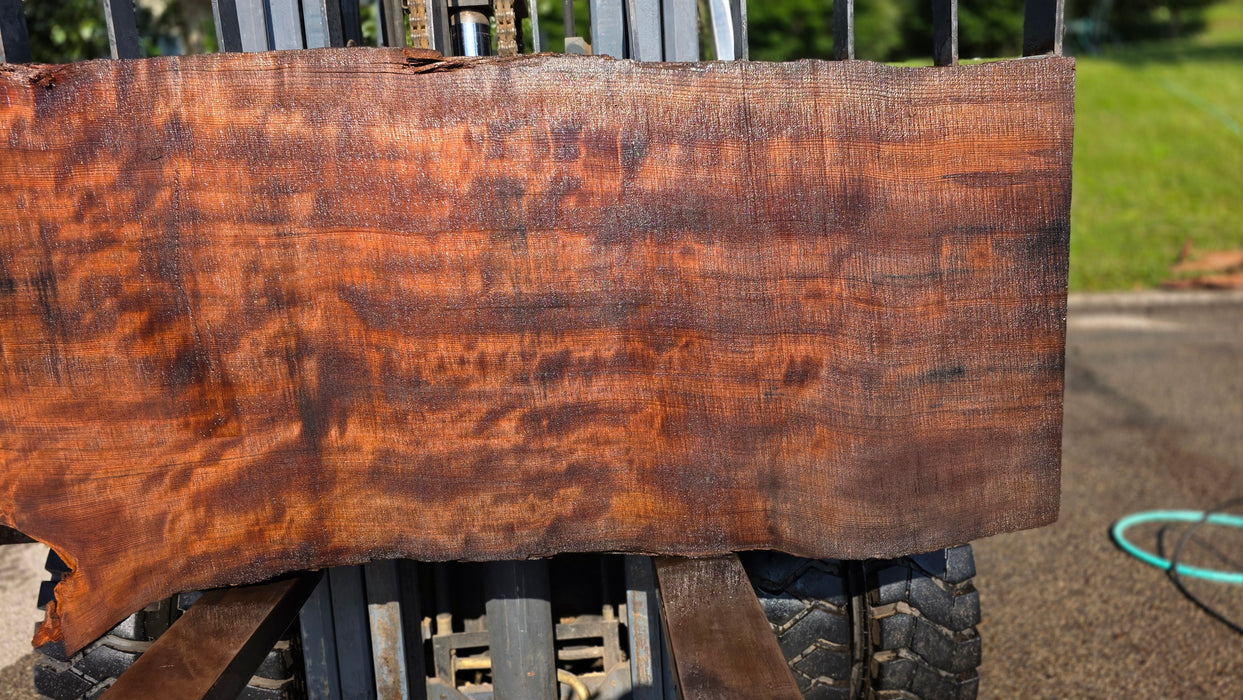 Redwood  #8204(OC) - 3" x 10" to 27" x 82" FREE SHIPPING within the Contiguous US.