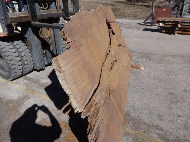 Ipe / Brazilian Walnut #3731 - 2-1/2" x 45" to 60" x 120" FREE SHIPPING within the Contiguous US. freeshipping - Big Wood Slabs