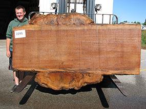 Quaruba #2295- 2-1/4" x 35" to 61" x 100" FREE SHIPPING within the Contiguous US. freeshipping - Big Wood Slabs