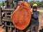 Jatoba / Brazilian #10102 –2-1/4″ x  31″ x  42" FREE SHIPPING within the Contiguous US. freeshipping - Big Wood Slabs