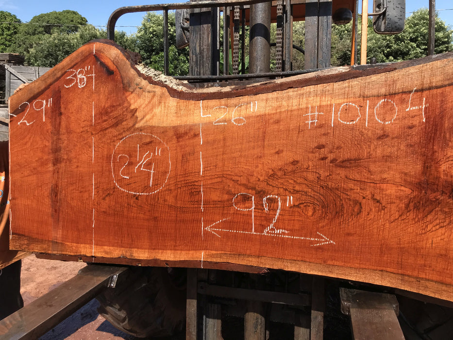 Jatoba / Brazilian #10104 –2-1/4″ x  26″ to 38"  x  92" FREE SHIPPING within the Contiguous US. freeshipping - Big Wood Slabs
