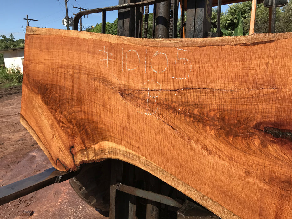 Jatoba / Brazilian #10105 –2-3/8″ x  29″ to 40"  x  89" FREE SHIPPING within the Contiguous US. freeshipping - Big Wood Slabs