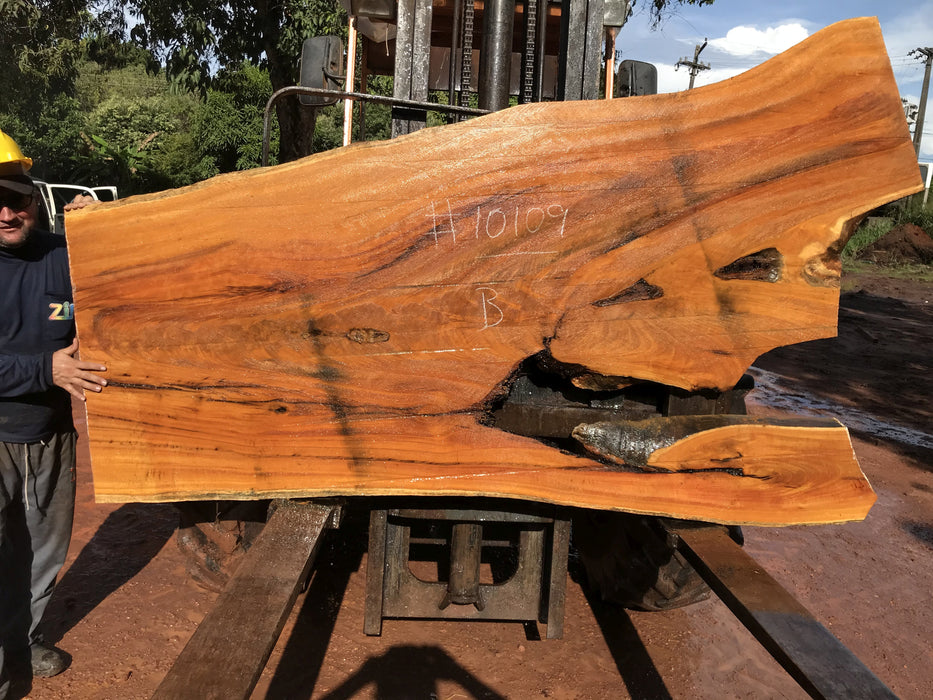 Tatajuba #10109 - 2-1/4" x 32" to 55" x 91" to 98" FREE SHIPPING within the Contiguous US. freeshipping - Big Wood Slabs