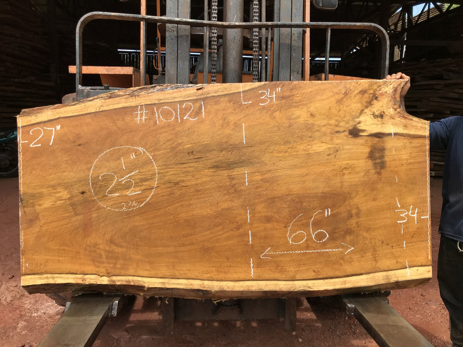 Garapa, #10121 - 2-1/2" x  27" to 35" x  66" FREE SHIPPING within the Contiguous US. freeshipping - Big Wood Slabs