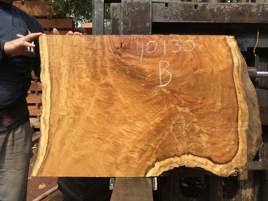 Garapa, #10130 - 2" x  24"  x  33"  to 39" FREE SHIPPING within the Contiguous US. freeshipping - Big Wood Slabs