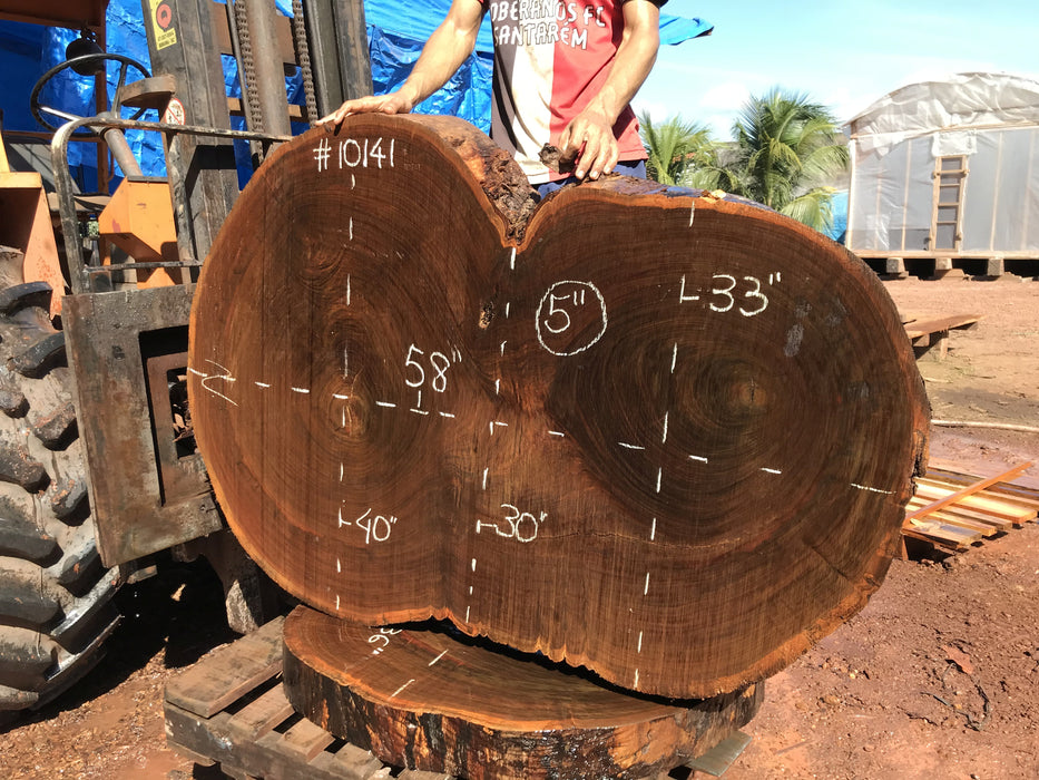 Ipe / Brazilian Walnut #10141 - 5" x 30" to 40" x 58" FREE SHIPPING within the Contiguous US. freeshipping - Big Wood Slabs