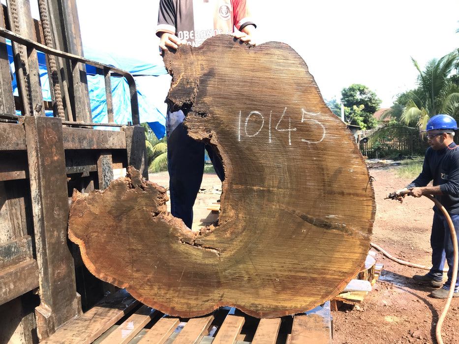 Ipe / Brazilian Walnut #10145 - 4-7/8" x 47"  x 46" FREE SHIPPING within the Contiguous US. freeshipping - Big Wood Slabs