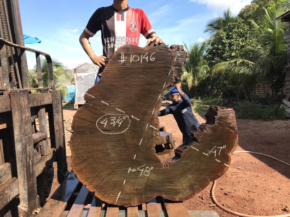 Ipe / Brazilian Walnut #10146 - 4-3/4" x 47"  x 48" FREE SHIPPING within the Contiguous US. freeshipping - Big Wood Slabs
