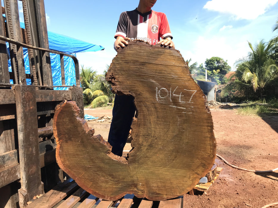Ipe / Brazilian Walnut #10147 - 4-3/4" x 47"  x 48" FREE SHIPPING within the Contiguous US. freeshipping - Big Wood Slabs