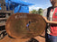 Ipe / Brazilian Walnut #10168 - 2-1/2" x  23"  x 34" FREE SHIPPING within the Contiguous US. freeshipping - Big Wood Slabs